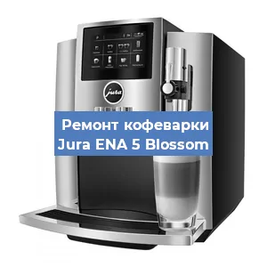 Чистка кофемашины Jura ENA 5 Blossom от кофейных масел в Воронеже